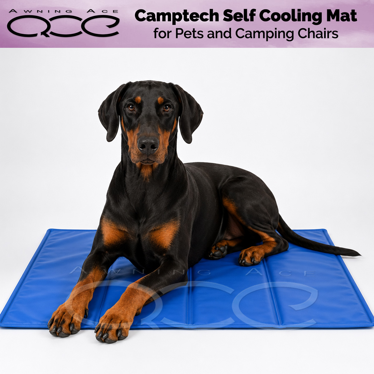 Camptech Self Cooling Mat for Dogs, Pets and Camping Chairs